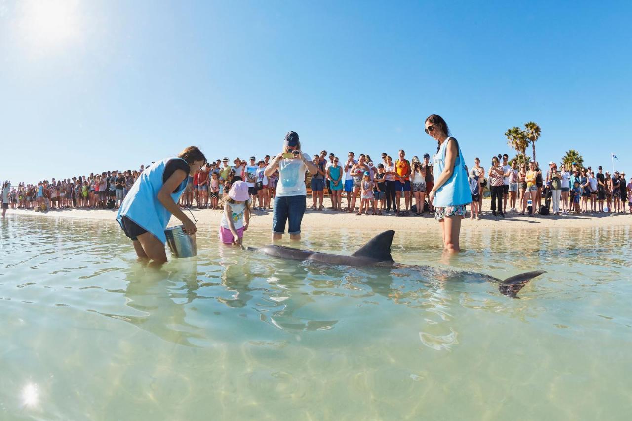 Rac Monkey Mia Dolphin Resort Exterior photo
